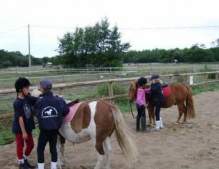 Actividades ecuestres para niños en Gironda 
